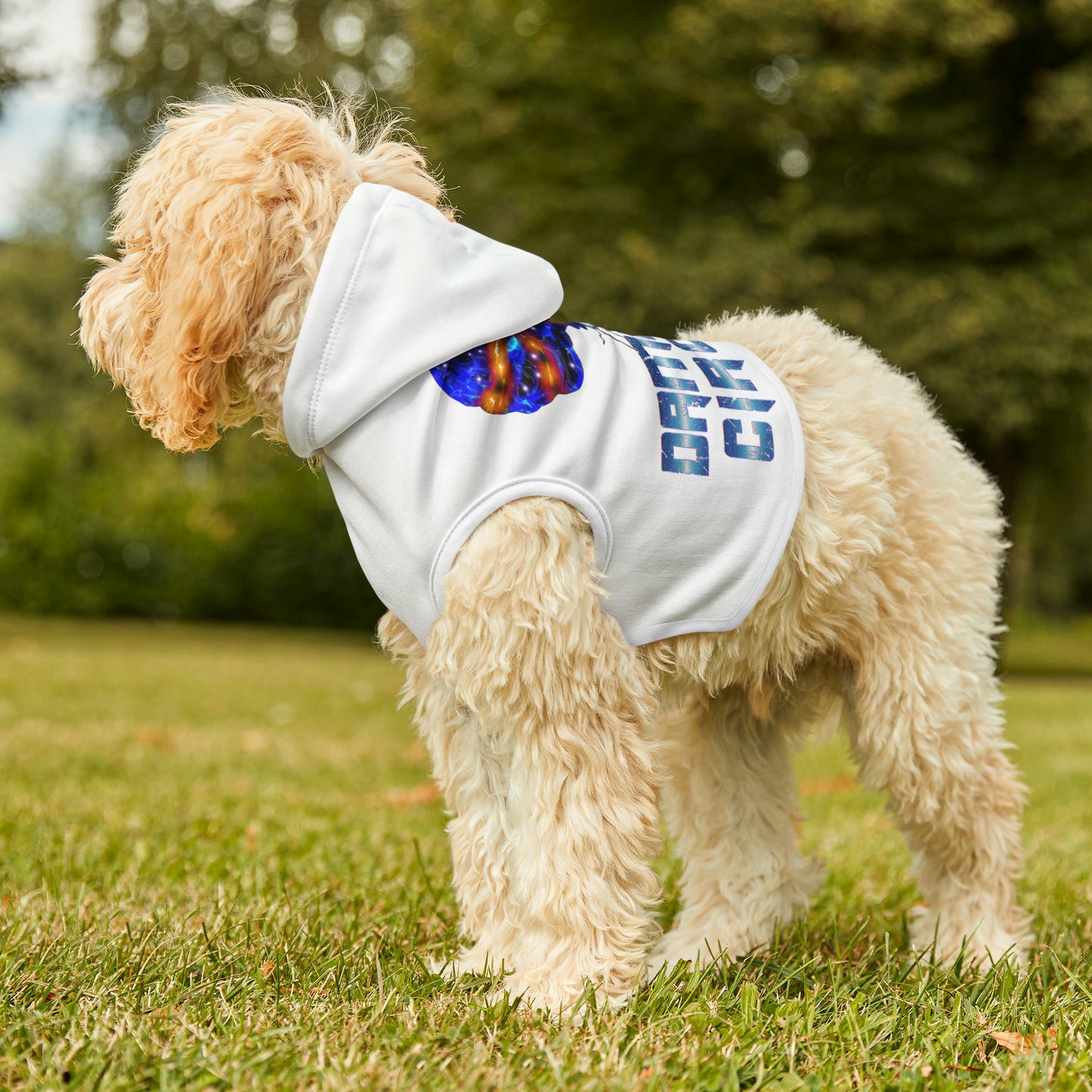 Pet Hoodie